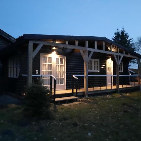 Chalet Het Wollinghuisje Vlagtwedde المظهر الخارجي الصورة