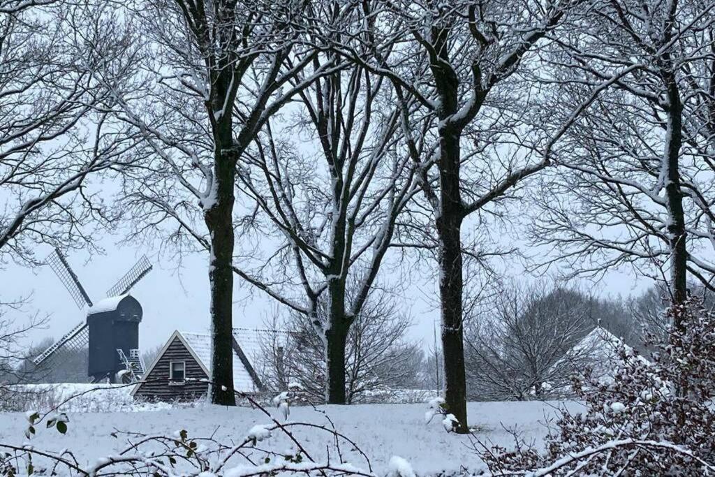 Chalet Het Wollinghuisje Vlagtwedde المظهر الخارجي الصورة