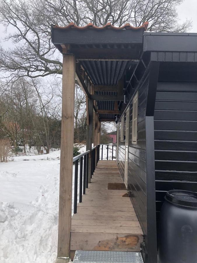 Chalet Het Wollinghuisje Vlagtwedde المظهر الخارجي الصورة