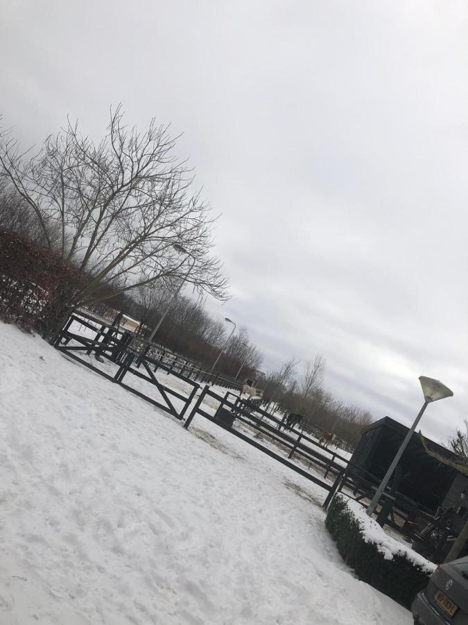 Chalet Het Wollinghuisje Vlagtwedde المظهر الخارجي الصورة